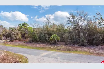 2257 N Stampede Drive, Beverly Hills, FL 34465 - Photo 18