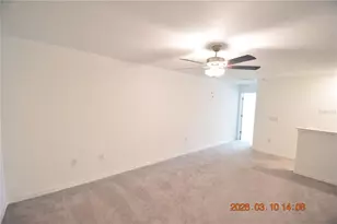 6252 Shiner St, Land O Lakes, FL 34638 - Photo 24