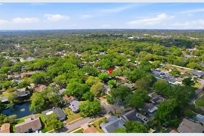 3046 Egret Terrace, Safety Harbor, FL 34695 - Photo 48