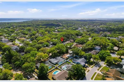 3046 Egret Terrace, Safety Harbor, FL 34695 - Photo 46