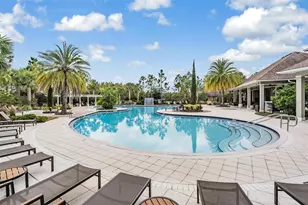 32699 Dashel Palm Ln, Wesley Chapel, FL 33543 - Photo 54