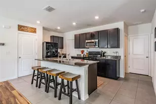 32699 Dashel Palm Ln, Wesley Chapel, FL 33543 - Photo 16