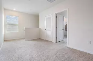 32699 Dashel Palm Ln, Wesley Chapel, FL 33543 - Photo 20