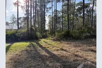 Tbd US 19, Inglis, FL 34449 - Photo 4