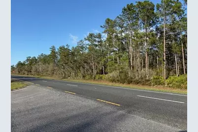 Tbd US 19, Inglis, FL 34449 - Photo 10