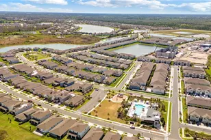 2456 Arbor Wind Dr, Lutz, FL 33558 - Photo 32