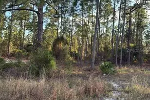 918 Belmont St E, Lehigh Acres, FL 33974 - Photo 1