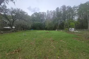 11641 Bruin Dr, New Port Richey, FL 34654 - Photo 1