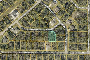 Hagedom Ave, North Port, FL 34291 - Photo 1