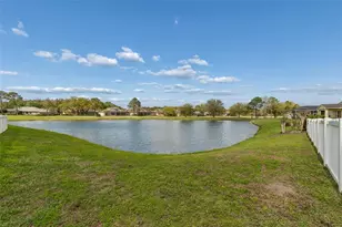 5323 Bold Venture Pl, Wesley Chapel, FL 33544 - Photo 44