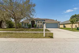 5323 Bold Venture Pl, Wesley Chapel, FL 33544 - Photo 4