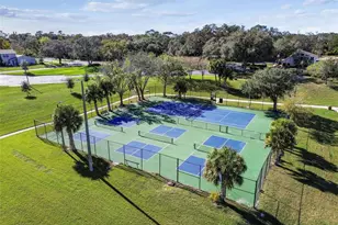 14827 Oak Vine Dr, Lutz, FL 33559 - Photo 50