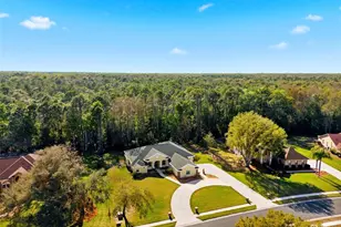 4453 Lake in the Woods Dr, Spring Hill, FL 34607 - Photo 76