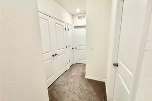 1610 Colt Creek Pl, Wesley Chapel, FL 33543 - Photo 52
