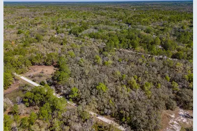 7252 Sonia Avenue, Webster, FL 33597 - Photo 16