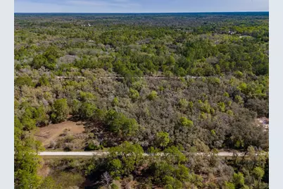 7262 Sonia Avenue, Webster, FL 33597 - Photo 12