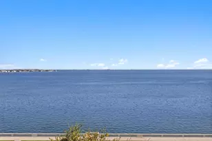 2103 Bayshore Blvd, Tampa, FL 33606 - Photo 26