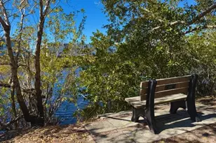 6251 Shoreline Dr, Seminole, FL 33708 - Photo 44