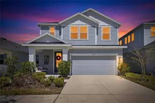 6066 Golden Nettle Dr, Apollo Beach, FL 33572 - Photo 1