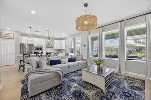 6066 Golden Nettle Dr, Apollo Beach, FL 33572 - Photo 20