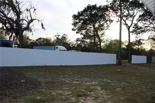 14410 Dabney Ct, Spring Hill, FL 34610 - Photo 68