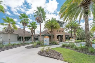 32705 Brooks Hawk Ln, Wesley Chapel, FL 33543 - Photo 42