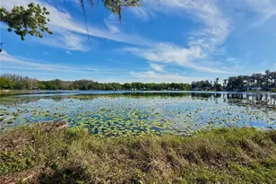 14618 Geneva Dr, Odessa, FL 33556 - Photo 4