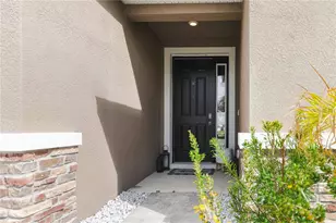 13166 Brookside Moss Dr, Riverview, FL 33579 - Photo 4