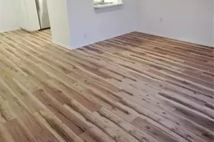 3037 Park Ln, Dunedin, FL 34698 - Photo 4