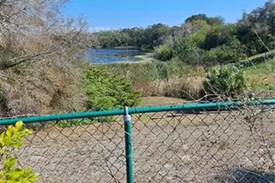 3037 Park Ln, Dunedin, FL 34698 - Photo 14