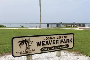 870 Virginia St, Dunedin, FL 34698 - Photo 38