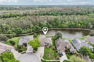 4941 Kylemore Ct, Palm Harbor, FL 34685 - Photo 60