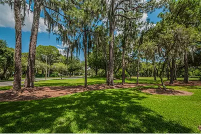 4941 Kylemore Court, Palm Harbor, FL 34685 - Photo 82