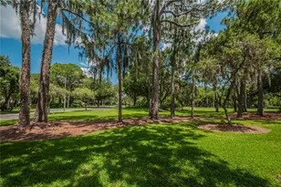 4941 Kylemore Ct, Palm Harbor, FL 34685 - Photo 82