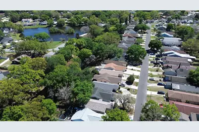 4414 Venice Drive, Land O Lakes, FL 34639 - Photo 26