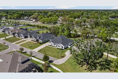 3188 Brown Brocket Lane, Lutz, FL 33559 - Photo 84