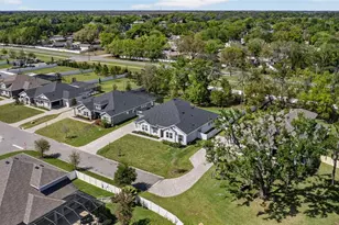 3188 Brown Brocket Ln, Lutz, FL 33559 - Photo 84