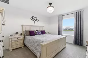 475 Mangrove Shade Cir, Apollo Beach, FL 33572 - Photo 18