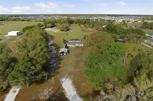 12461 Hobson Simmons Rd, Lithia, FL 33547 - Photo 48