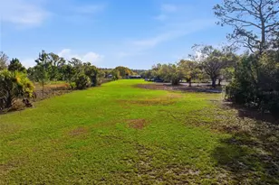 12461 Hobson Simmons Rd, Lithia, FL 33547 - Photo 58