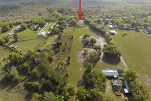 12461 Hobson Simmons Rd, Lithia, FL 33547 - Photo 50