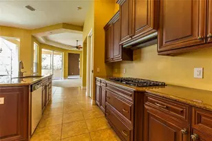 20003 Ryman Pl, Tampa, FL 33647 - Photo 12