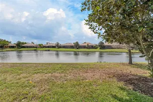 210 Shell Falls Dr, Apollo Beach, FL 33572 - Photo 60