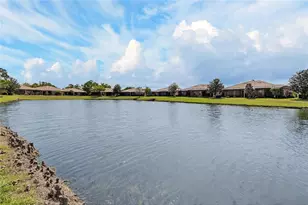 210 Shell Falls Dr, Apollo Beach, FL 33572 - Photo 56