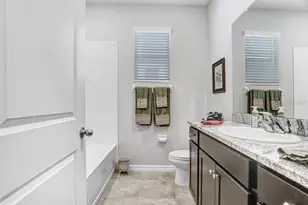 31411 Mango Fade Wy, San Antonio, FL 33576 - Photo 22