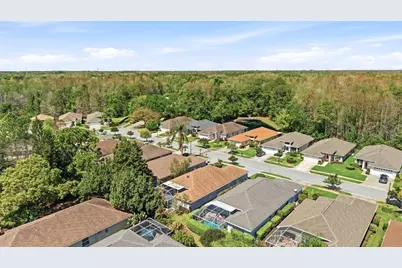 1809 Orchardgrove Avenue, New Port Richey, FL 34655 - Photo 38