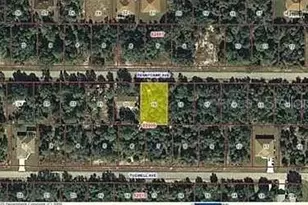 14347 Pennycamp Ave, Port Charlotte, FL 33953 - Photo 1