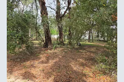 Kelly Lynn Court, Zephyrhills, FL 33541 - Photo 2