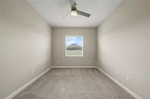 31875 Magna Gulf Loop, San Antonio, FL 33576 - Photo 28