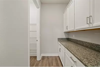 31875 Magna Gulf Loop, San Antonio, FL 33576 - Photo 44